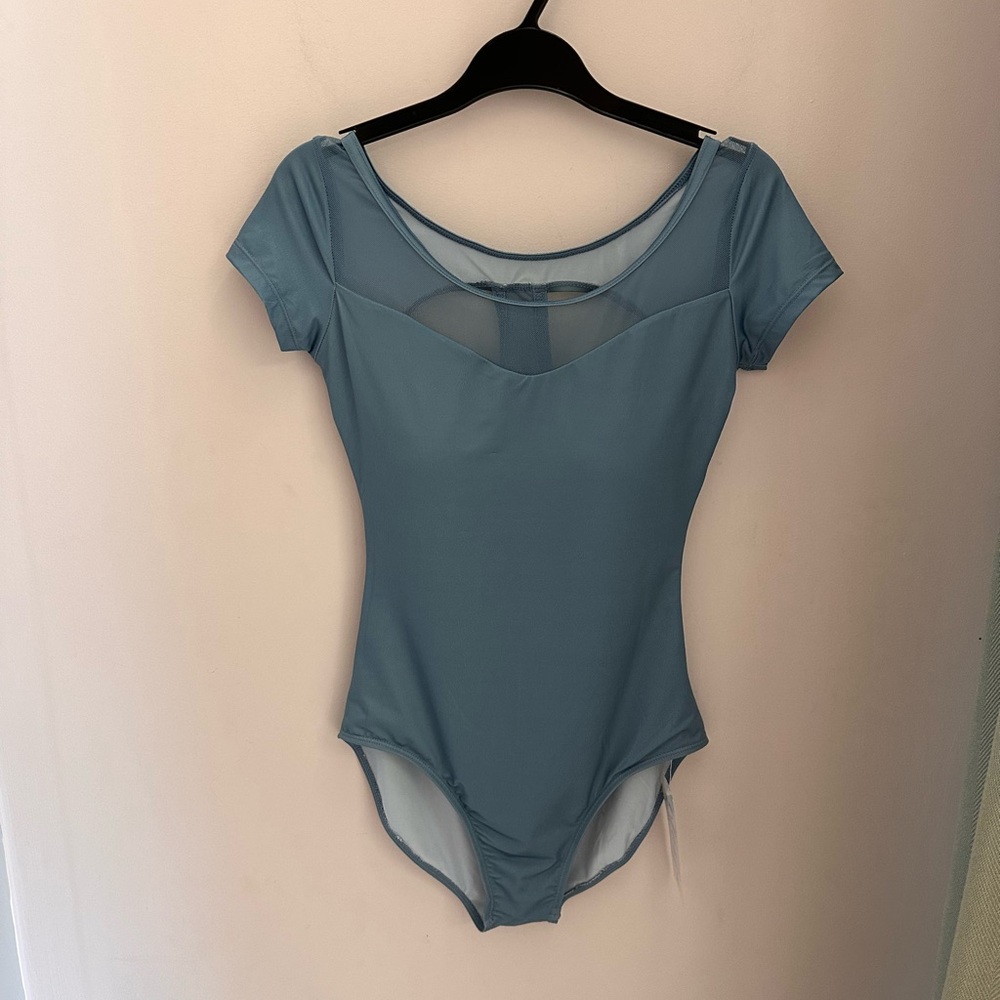 Blue Leotard